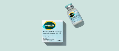 convenia for cats