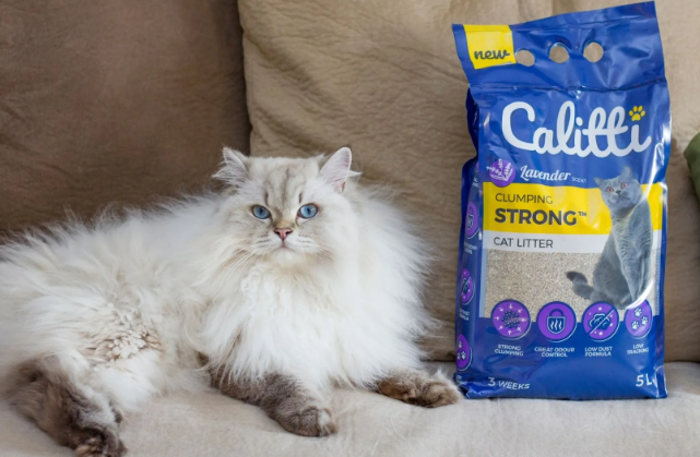 bentonite cat litter