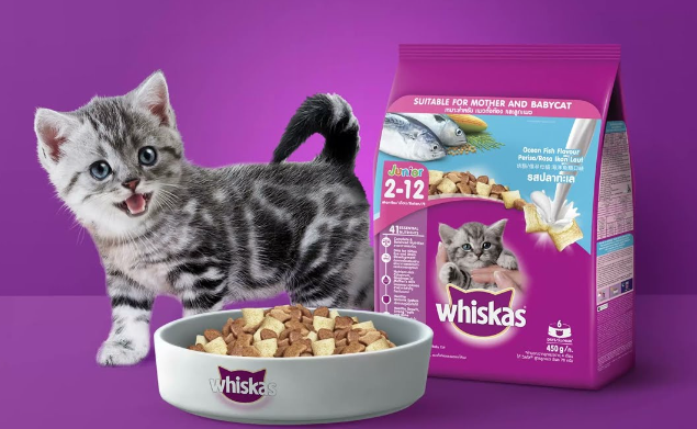 whiskas junior