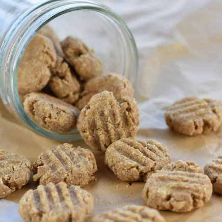 homemade cat treats