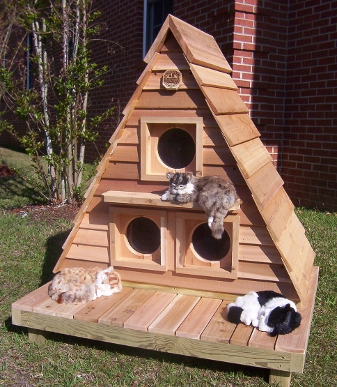 cat kennel