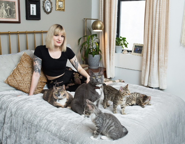 crazy cat lady