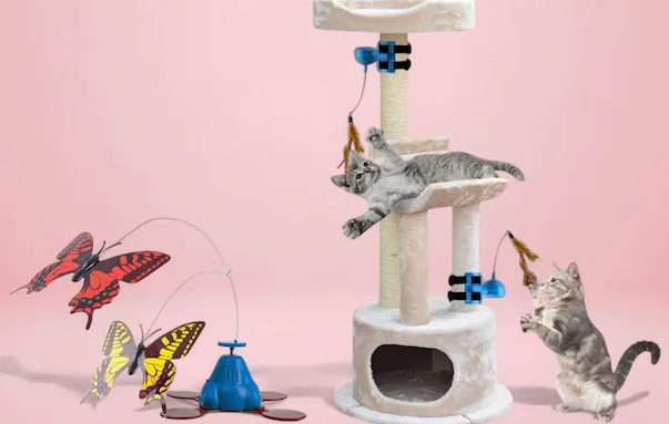 cat products