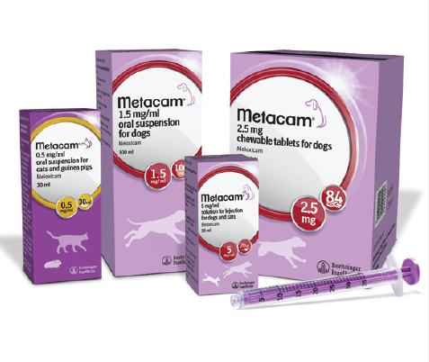 metacam for cats