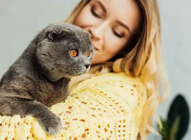 cat shop near me