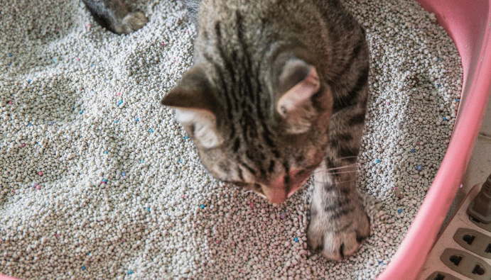 cat litter sand