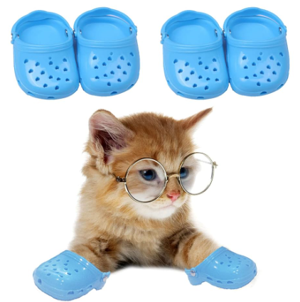 cat crocs