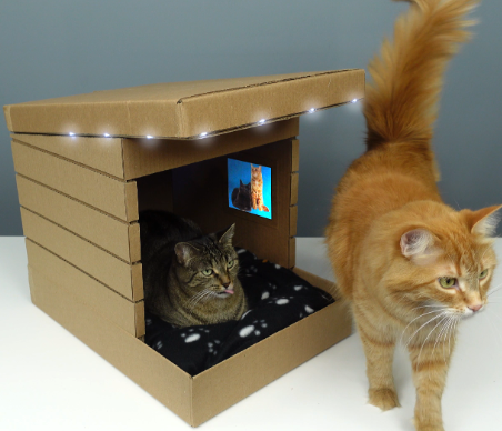 cardboard cat house