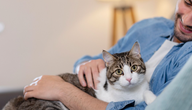 cat care
