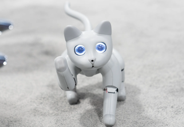 robot cat