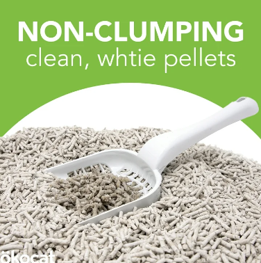 non clumping cat litter