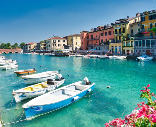 ear mite treatment for cats