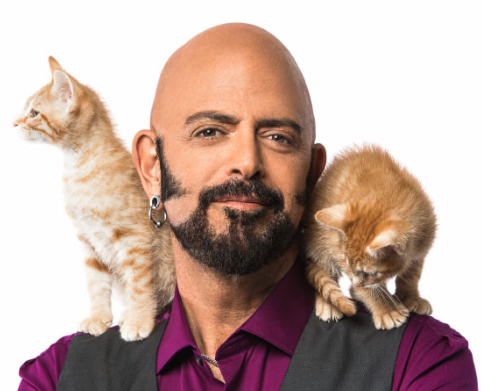 cat daddy
