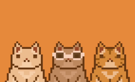 go kitty