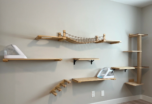 cat room