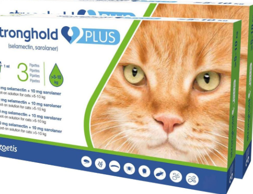 stronghold plus