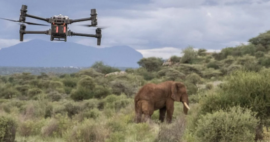 Limitations of observation technology in elephant research