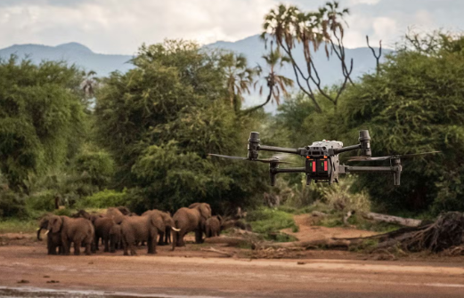 Use of drone technology to observe elephant behavior