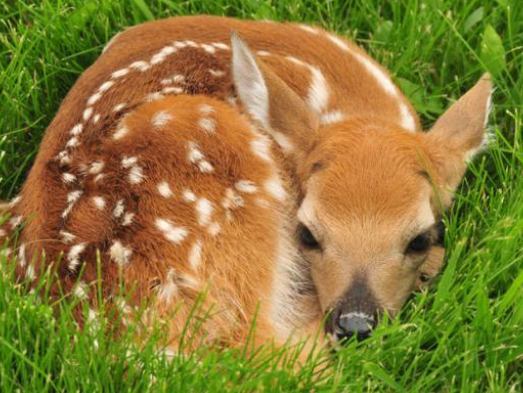 Hidden Patterns in Behavioral Habits