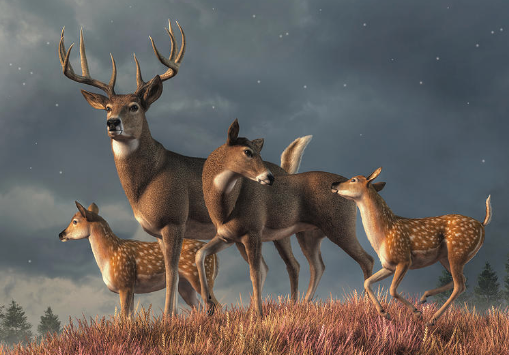 White Tailed Deer family sculpture