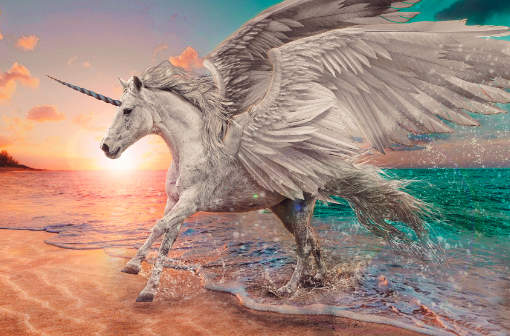 Alicorn