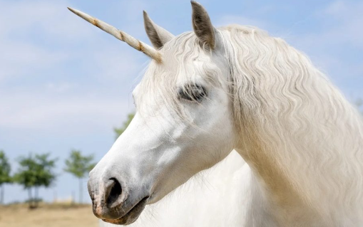 unicorn